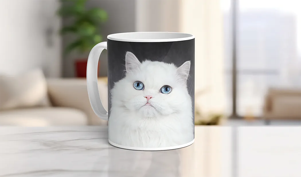 Mug Custom